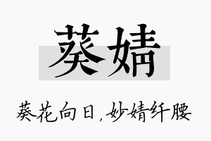 葵婧名字的寓意及含义