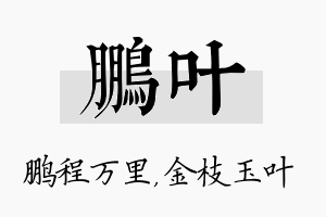 鹏叶名字的寓意及含义