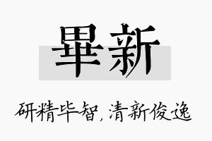 毕新名字的寓意及含义