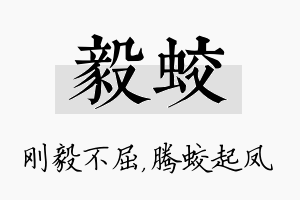 毅蛟名字的寓意及含义