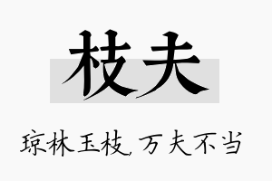 枝夫名字的寓意及含义