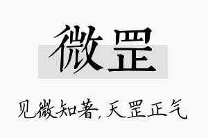 微罡名字的寓意及含义