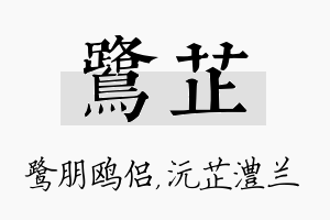 鹭芷名字的寓意及含义