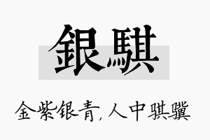 银骐名字的寓意及含义