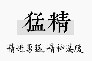 猛精名字的寓意及含义