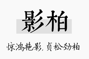 影柏名字的寓意及含义