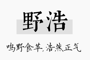 野浩名字的寓意及含义