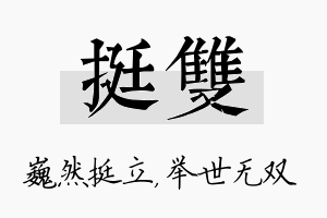 挺双名字的寓意及含义