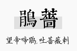 鹃蔷名字的寓意及含义