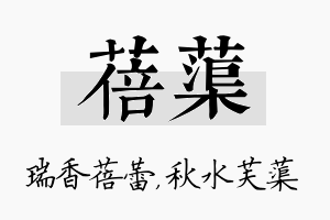 蓓蕖名字的寓意及含义