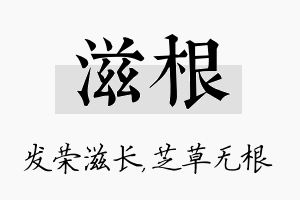 滋根名字的寓意及含义