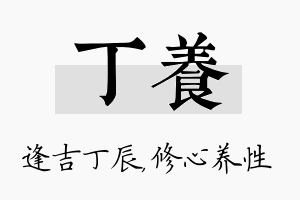 丁养名字的寓意及含义