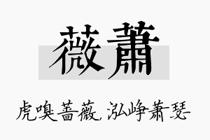 薇萧名字的寓意及含义