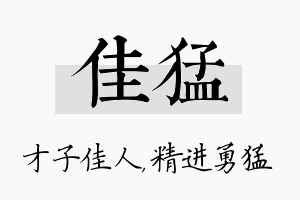 佳猛名字的寓意及含义