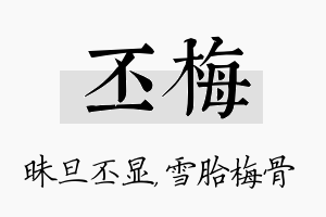 丕梅名字的寓意及含义