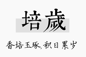 培岁名字的寓意及含义