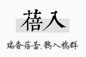 蓓入名字的寓意及含义