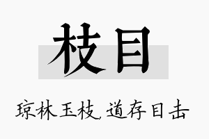 枝目名字的寓意及含义