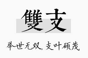 双支名字的寓意及含义