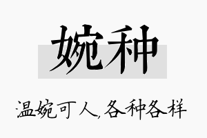 婉种名字的寓意及含义