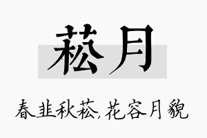 菘月名字的寓意及含义