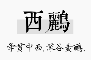 西鹂名字的寓意及含义