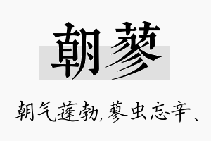 朝蓼名字的寓意及含义