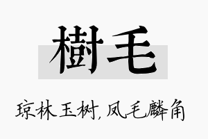 树毛名字的寓意及含义