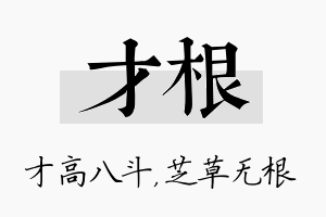 才根名字的寓意及含义