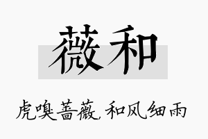 薇和名字的寓意及含义