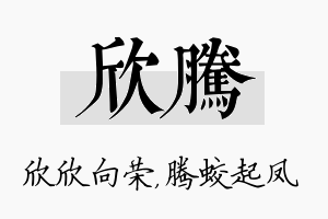 欣腾名字的寓意及含义