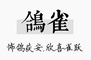 鸽雀名字的寓意及含义