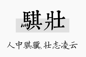 骐壮名字的寓意及含义