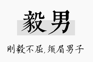 毅男名字的寓意及含义