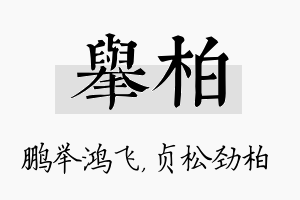 举柏名字的寓意及含义