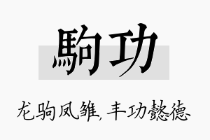 驹功名字的寓意及含义