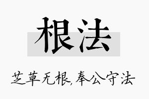 根法名字的寓意及含义