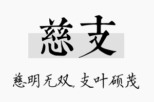 慈支名字的寓意及含义