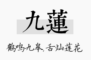 九莲名字的寓意及含义