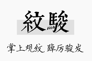 纹骏名字的寓意及含义