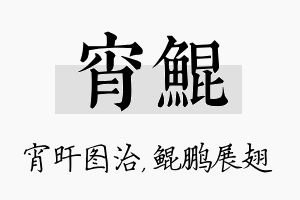 宵鲲名字的寓意及含义