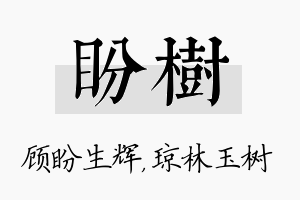 盼树名字的寓意及含义