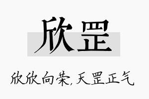 欣罡名字的寓意及含义