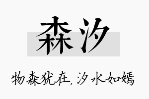 森汐名字的寓意及含义