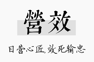 营效名字的寓意及含义