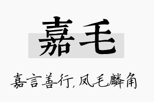 嘉毛名字的寓意及含义