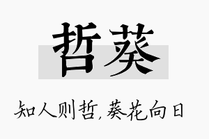 哲葵名字的寓意及含义