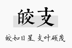 皎支名字的寓意及含义