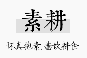 素耕名字的寓意及含义