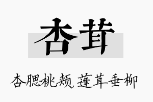 杏茸名字的寓意及含义